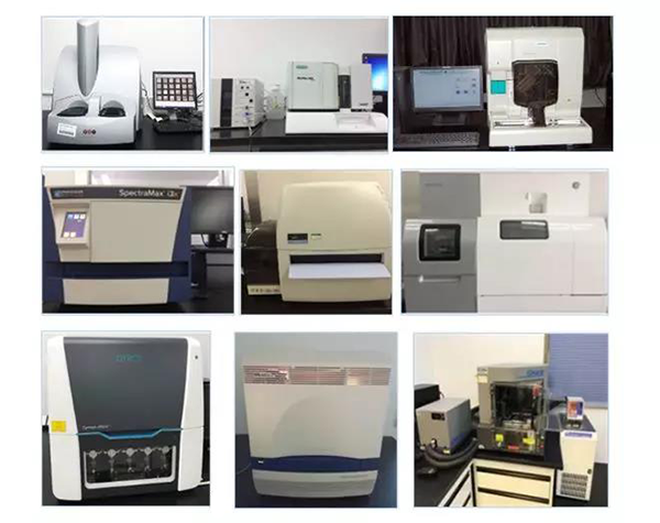 人生就是博生物技术药物分析部门拥有SpectraMaxM4/M5/i3x, MSD, Luminex, Biacore 8K, Envision, Gyrolab，ABI7500 qPCR等全方位多功能的技术平台，利用LIMS系统实施全面的实验室信息化管理，提供全面符合FDA/CFDA/OECD GLP规范要求的生物技术药物分析服务。