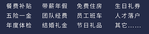 人生就是博员工福利：餐费补贴、五险一金、年度体检、带薪年假、团队经费、结婚礼金、免费住房、员工班车、节日礼品、生日礼券、人才落户、其它……
