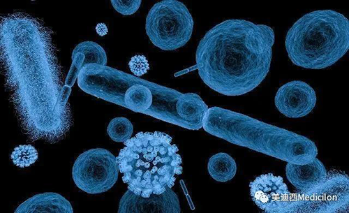 20分钟，大多数细菌都可以繁衍一代 人生就是博生物医药