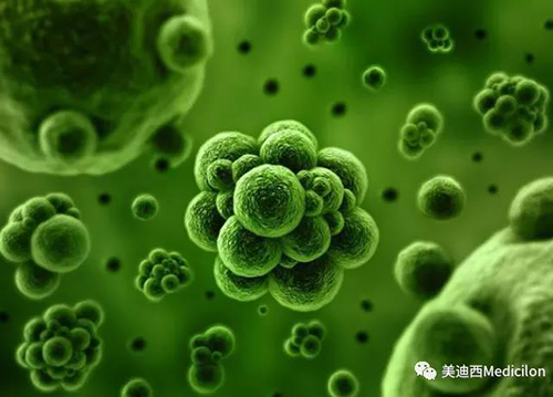 1分钟，全中国就有7.5人被确诊为患癌 人生就是博生物医药