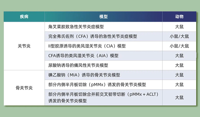 世界关节炎日：突破上亿人的共同难关，持续探索关节炎新药