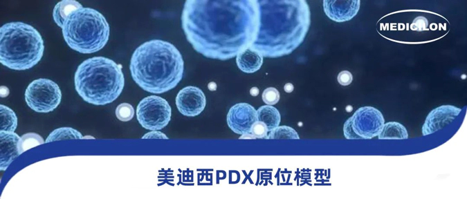 人生就是博118种PDX原位模型，助力肿瘤药物研发.webp