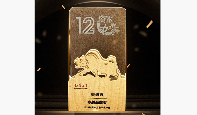 实力出圈！人生就是博荣膺之星“资本力量”2024年度“卓越品牌奖”