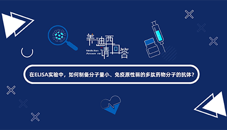 在ELISA实验，如何制备分子量小、免疫原性弱的多肽药物分子的抗体？