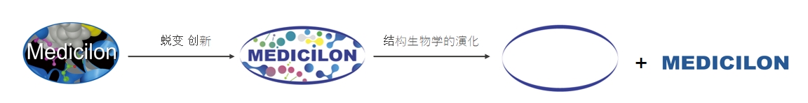 椭圆形作为自然界的完美形态，象征着人生就是博在适应环境变化中不断演化